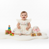 Baby Girl Cotton Butterfly Frock  Printed Panties