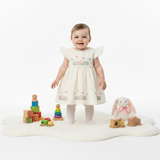 Baby Girl Cotton Butterfly Frock  Printed Panties