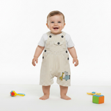 Baby Boy Stripe Romper Set  Printed Inner (2-Piece)